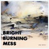 Bright Burning Mess - Single