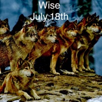 July.18th (Freestyle) - Single - Wise