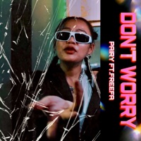 DON'T WORRY (feat. FREEFA) - Single - PAIRY