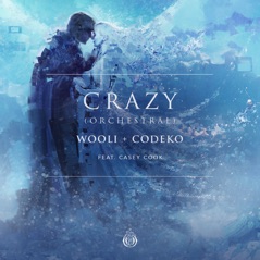 Crazy (feat. Casey Cook) [Orchestral] - Single