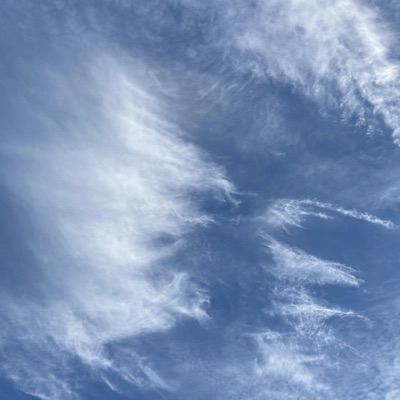 Tranquil Wave - Single