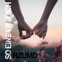 So Eine Wie Dich - Single - RzumD
