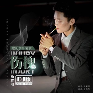 伤槐 (DJ版) - Single