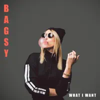 What I Want — Bagsy