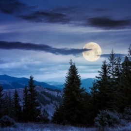 12 AM (feat. HighC!) Lil Whi B