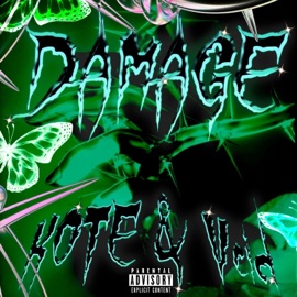 Damage (feat. Vcidbaby) Kote