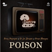 Poison (feat. Dr Joe Shirimani, Benny Mayengani & Prince Rhangani) artwork