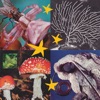 Seventh Wonder cover art