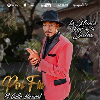 Por fin - Single
