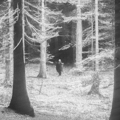 CHRYSANTHÈMES (feat. Ley) - Single