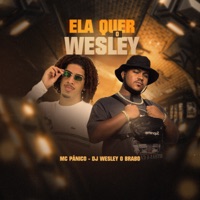 Ela Quer o Wesley - Single - DJ WESLEY O BRABO & MC Pânico