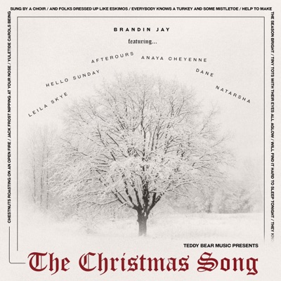 The Christmas Song (feat. Hello Sunday, Anaya Cheyenne, Afterours, Dane, Leila Skye & Natarsha) - Single