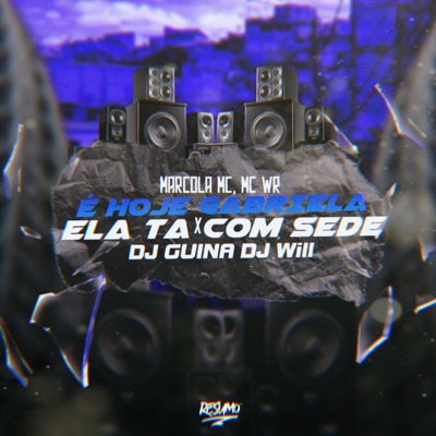 E Hoje Gabriela X Ela Ta Com Sede (feat. MC WR) - Single