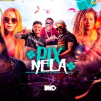 Pix Nela - Single - DJ Guuh PP, Danadões do funk & Mc Arthuziin