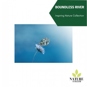 Boundless River - Inspiring Nature Collection