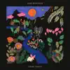 José González - Lilla G