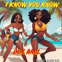 I Know You Know - Single - Dox Amil