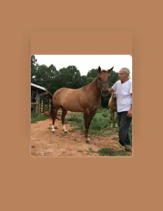 收听 The Ain't Sisters、观看音乐视频、阅读小传、查看巡演日期等 ！