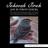 Jehovah Jireh (Our Provider) (Unabridged)