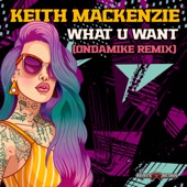 What U Want (OnDaMike Remix) artwork