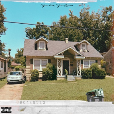 You Live, You Learn (Deluxe Edition)