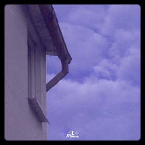 Dans Le Palais (brillion. Remix) - Single