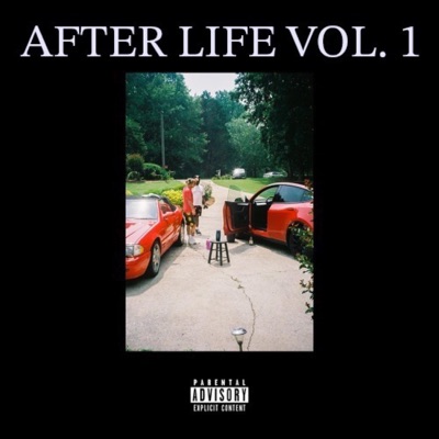 After Life, Vol. 1 - Single
