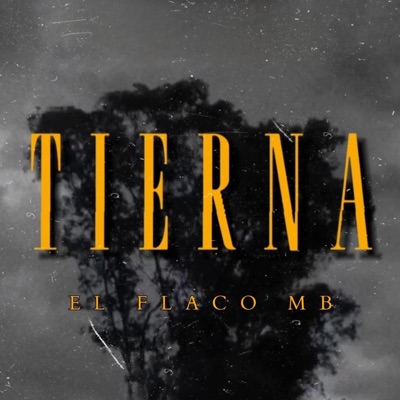 Tierna - Single