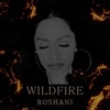 Wildfire - Single