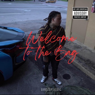 Welcome To the Bag - EP