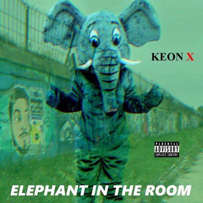 Elephant In the Room