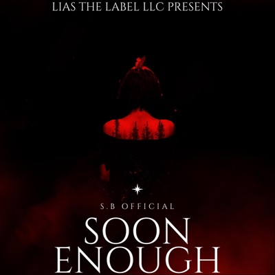 Soon Enough (feat. Vidal Garcia) - Single