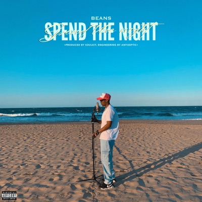 Spend the Night (feat. Soulkit) - Single