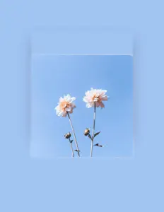 nemo loud: песни, клипы, биография, даты выступлений и многое другое.