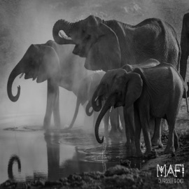 Mafi (feat. DiGi) Dj Frisbee