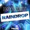 Raindrop - Single