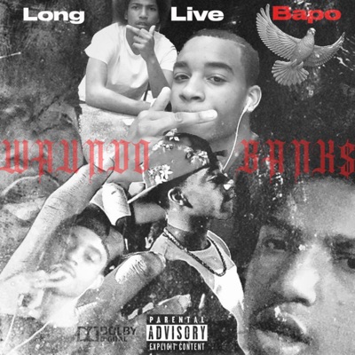 Long Live Bapo - Single