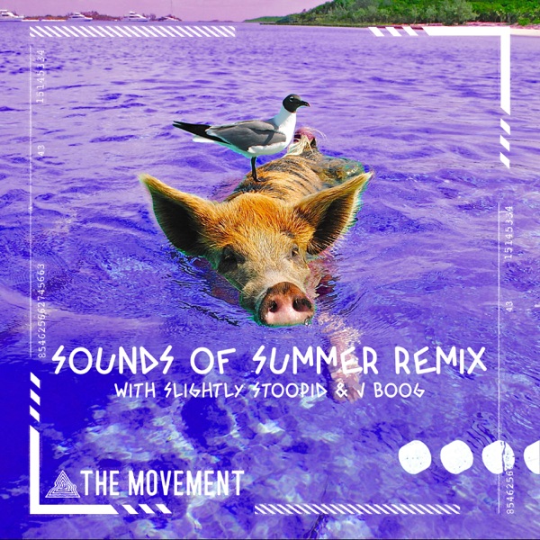 Sounds of Summer (Johnny Cosmic Remix) - Single