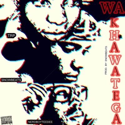 Wa Khawatega (feat. SnowBeats & TRP) - Single