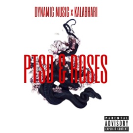 Ptsd Dynamic Music & KALABHARI