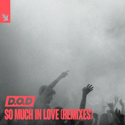 So Much in Love cover art