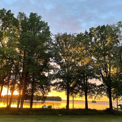 Blooming Meadows - Single