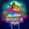 What A Night - Flo Rida lyrics