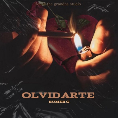 Olvidarte (feat. Bumer G) - Single