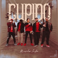 Cupido - Single - Mucho Info