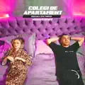 Colegi de apartament