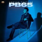 PB 65 artwork