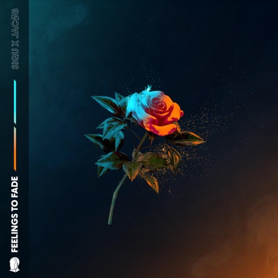 Feelings To Fade - Single