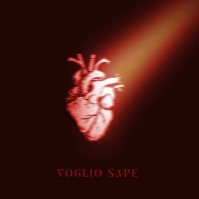 Voglio Sapè (feat. Playitano) - Single