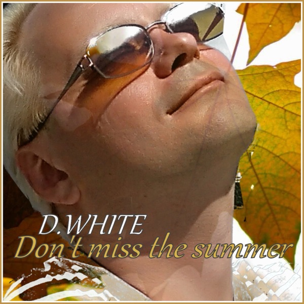 Don't Miss the Summer - Single